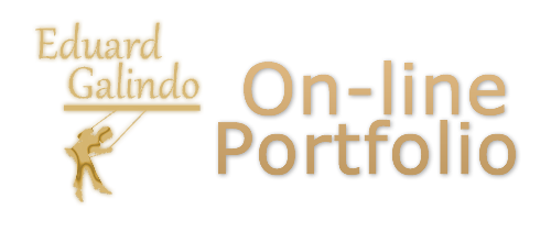 On-line Portfolio logo
